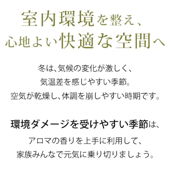 画像7: ＼特別価格880円★12/10 10:59まで／Winter Blend 10ml☆風邪が気になる季節に☆メール便可 【Familiar Series】精油 アロマ アロマオイル 風邪 抗菌 抗ウィルス 予防 ひきはじめ ブロック ティートリー ラベンダー ウイルス 対策 グッズ  加湿器 ディフューザー ウィンター (7)