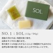 画像7: 【お試しサイズ】TEA SEED Skincare oil SOAP SOL 12g ティーシード スキンケア オイル ソープ ソル（石けん 石鹸 せっけん 無添加 自然派 茶の実オイル たねのしずく研究所） (7)