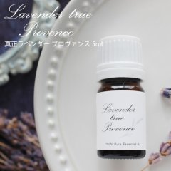 真正ラベンダー プロヴァンス 5ml 【精油 エッセンシャルオイル アロマオイル アロマ ギフト ラベンダー ルームフレグランス】