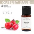 画像1: 【OUTLET】ローズヒップ　5ml(プラ容器) (1)