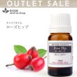 画像1: 【OUTLET】ローズヒップ　10ml (1)