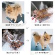 画像7: わんこのクレイシャンプー 240ｇ ボディクレイ モンモリロナイト 犬 シャンプー ねんど 犬用 bodyclay  肌に優しい ツヤ (7)