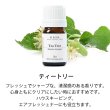 画像8: 【送料無料】はじめてのアロマSET (OS・T・GFW・ユーカリB・ラベT 各5ml) アロマオイル エッセンシャルオイル 精油 アロマ 天然 初心者 初めて セット オレンジ ティートリー ティーツリー グレープフルーツホワイト ユーカリブルーガム 真正ラベンダー）【代金引換不可】 (8)