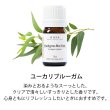 画像10: 【送料無料】はじめてのアロマSET (OS・T・GFW・ユーカリB・ラベT 各5ml) アロマオイル エッセンシャルオイル 精油 アロマ 天然 初心者 初めて セット オレンジ ティートリー ティーツリー グレープフルーツホワイト ユーカリブルーガム 真正ラベンダー）【代金引換不可】 (10)