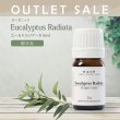 画像1: 【OUTLET】【オーガニック】ユーカリラジアータ　5ml (1)