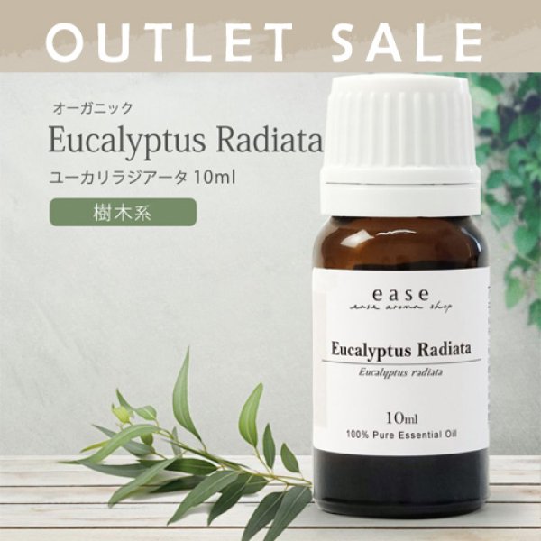 画像1: 【OUTLET】【オーガニック】ユーカリラジアータ　10ml (1)