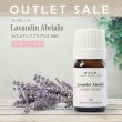 画像1: 【OUTLET】【オーガニック】ラバンジン アブリアリス　5ml (1)