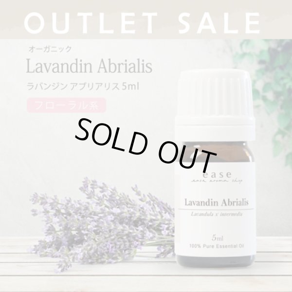 画像1: 【OUTLET】【オーガニック】ラバンジン アブリアリス　5ml (1)