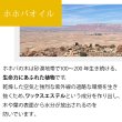 画像7: 【人気NO.1のオイル！】ゴールデンホホバオイル 100ml ホホバオイル ゴールデン 未精製 ホホバ マッサージオイル 髪 ヘア フェイス 保湿 天然100% 無添加 キャリアオイル 美容オイル ベースオイル ヘアオイル スキンケア (7)