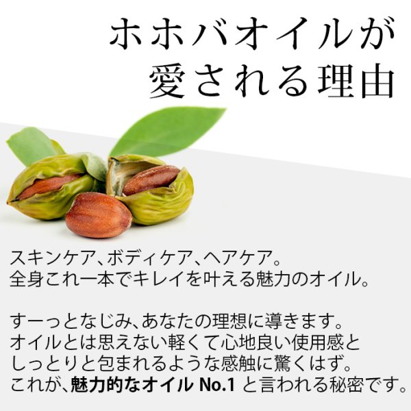 画像2: 【人気NO.1のオイル！】ゴールデンホホバオイル 100ml ホホバオイル ゴールデン 未精製 ホホバ マッサージオイル 髪 ヘア フェイス 保湿 天然100% 無添加 キャリアオイル 美容オイル ベースオイル ヘアオイル スキンケア (2)