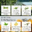 画像6: ＼40種から／ 選べる3本セット 各10ml アロマオイル エッセンシャルオイル 精油 アロマ 加湿器 セット ギフト ラベンダー ルームフレグランス【送料無料】【代金引換不可】100％pure (6)