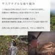 画像9: パロサント スティック チップ☆メール便可 聖なる木 Palo Santo ペルー産 ホーリーウッド 香木 浄化 玄関 リビング 寝室 ヨガ 瞑想 サステナブル (9)