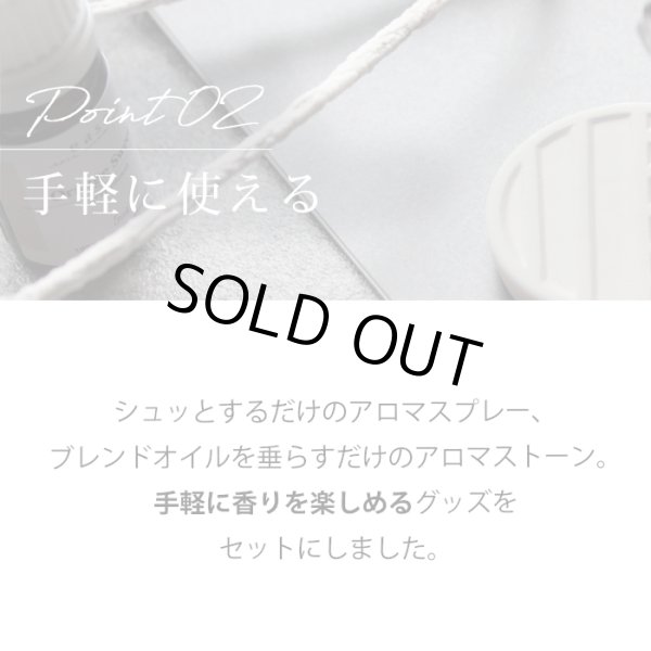 画像6: シーズナルプロテクトアロマセット マスク アロマ 花粉 風邪 対策 グッズ 予防 アロマスプレー アロマストーン ブレンドオイル ルームフレグランス メール便配送 (6)